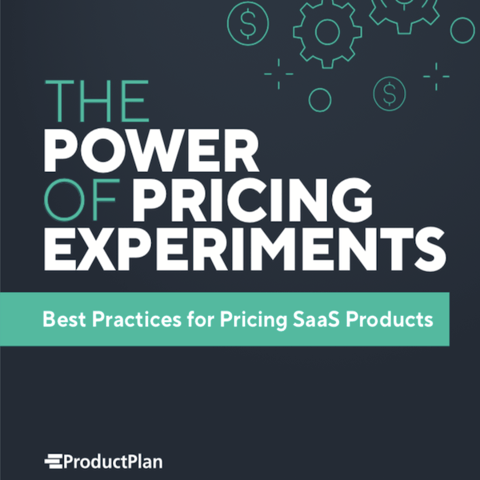 The Power of Pricing Experiments