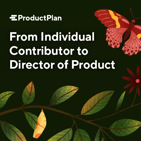 Download Our Book On How To Become A Director Of Product