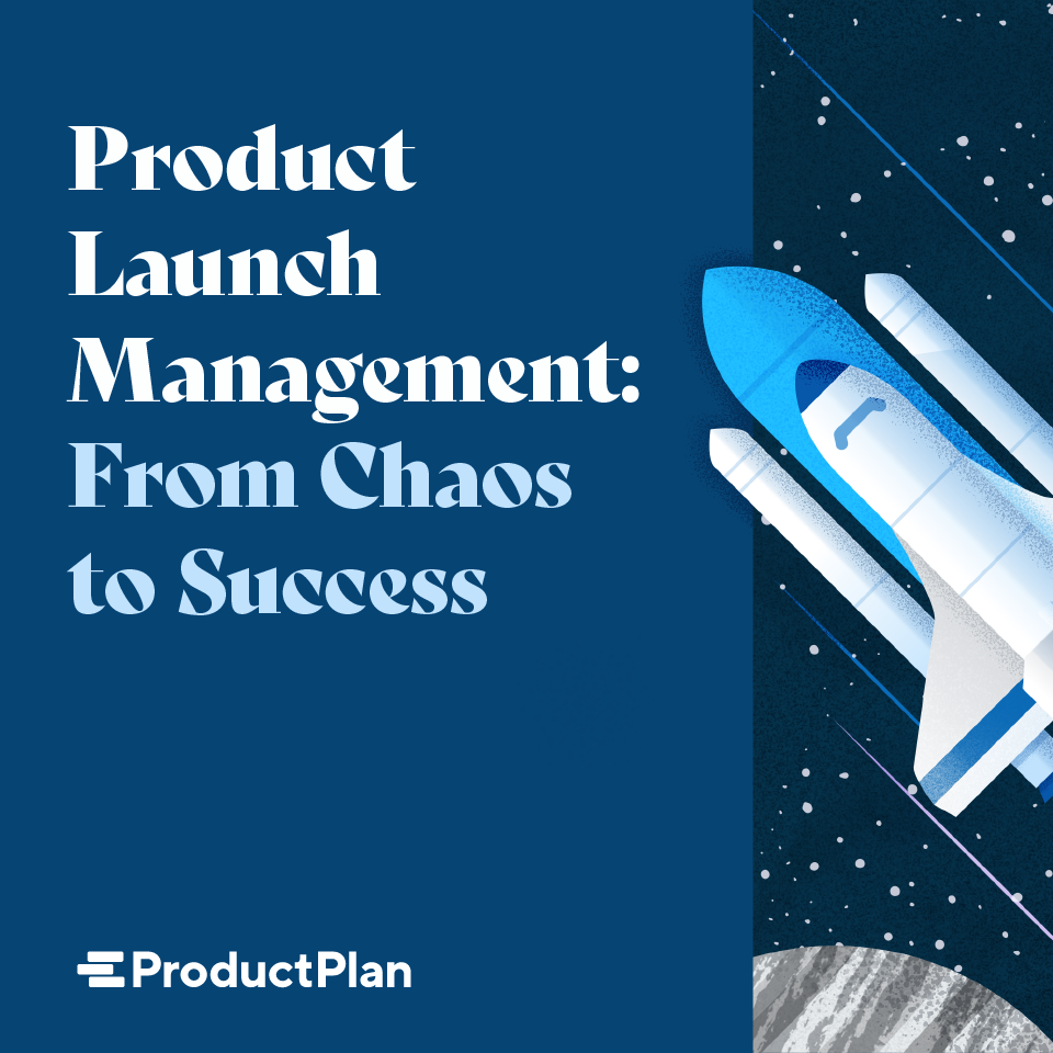 Download Product Launch Management: From Chaos to Success