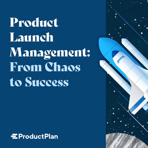 Download Product Launch Management: From Chaos to Success
