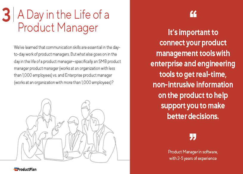 2020 Product Management Report Chapter 3 Page View