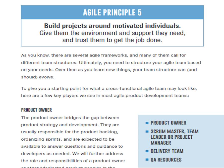 Agile Book Chapter 2 Page View
