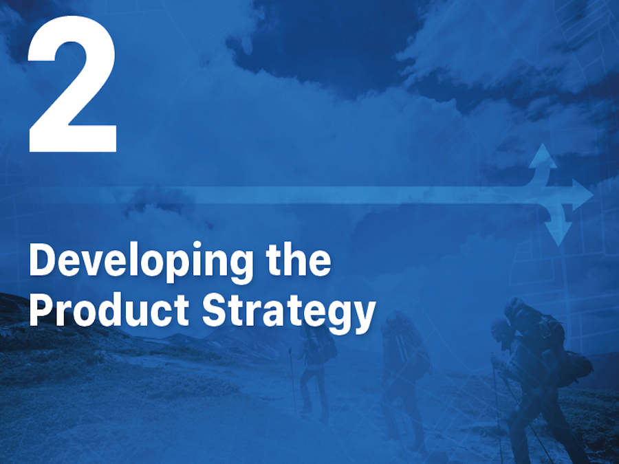 Strategic Roadmap Planning Guide Chapter 2