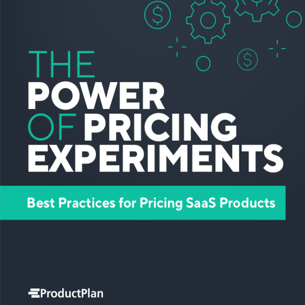 The Power of Pricing Experiments